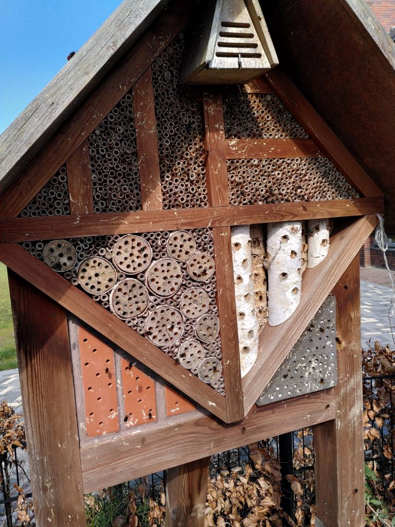 371818a_w1200_insektenhotelcorrie