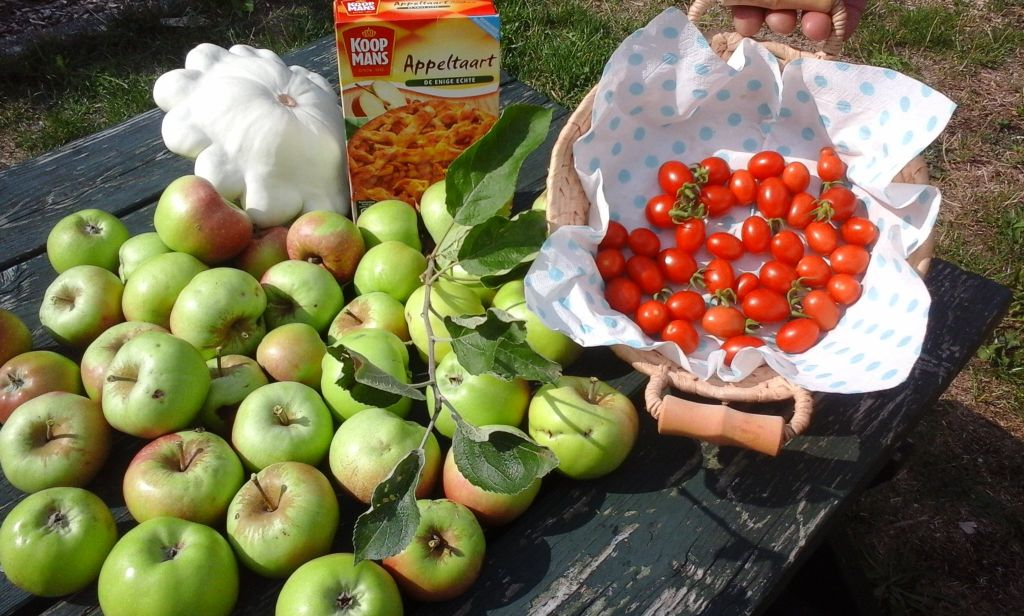 95e2bf41-9633-4246-b90a-fe66931cf260