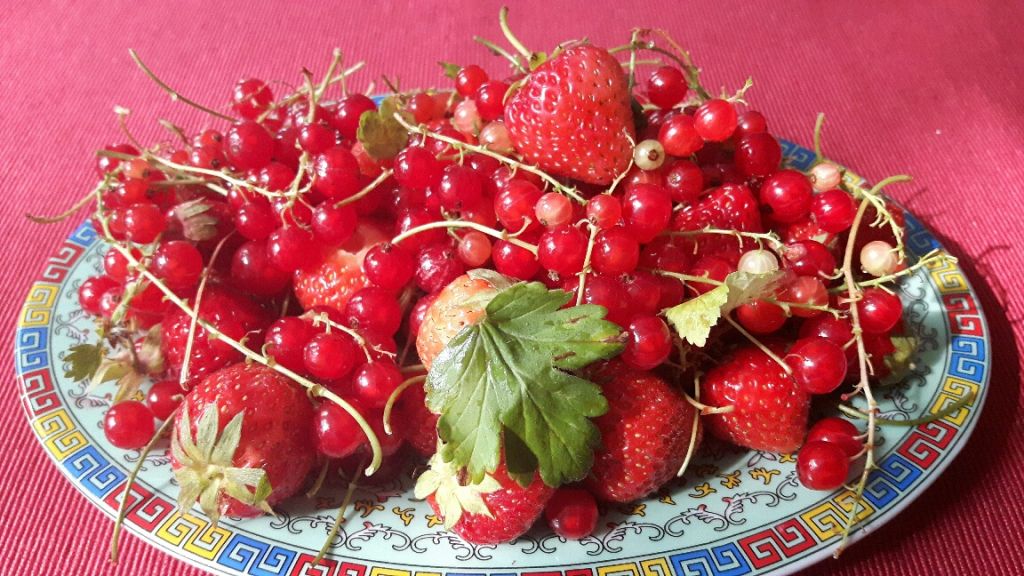 Fruit