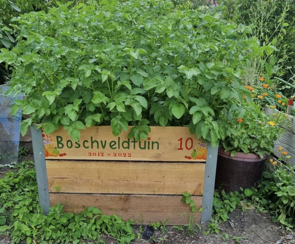 Vlindertuin_Tiel_0001